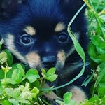 Dianne Orr - @dianne.orr.520 - Instagram