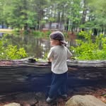 Dianne Orr - @dmo12191206 - Instagram
