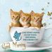 Dianne Owens - Facebook