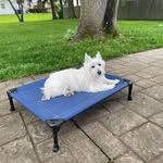 DeeDee Potter - @diannpotter82 - Instagram