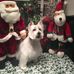 Diann Potter - Facebook