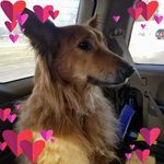 Diann Potter - @diann.potter.5 - Instagram