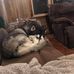Diann Potter - Facebook