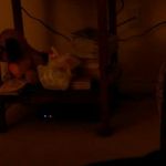 Diann Reed - @diann.reed.77 - Instagram