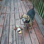 Diann Reed Hall - @diann.hall.395 - Instagram