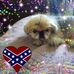 Diann Smith - Facebook