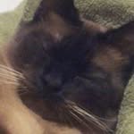Diana Adkins - @dianaadkins5746 - Instagram