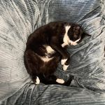 Dianna Becker - @dianna6876 - Instagram
