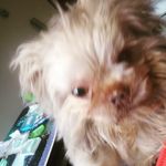 Dianna Blake - @dianna_blake63 - Instagram
