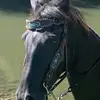 diannabrooks82 - @diannabrooks82 - TikTok
