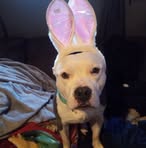 Diana Butts - Facebook
