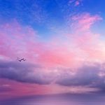 Dianna Carter - @dianna.carter.581525 - Instagram