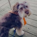 Dianna Carter - @ohiomanicgirl - Instagram