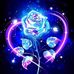 Dianne  Castle  - Facebook