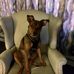 Dianna Cobb - Facebook