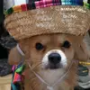 Diana Cunningham - @diana.cunningham7 - TikTok