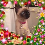 Dianna Griffith Larraway - @mrs._zookeeper - Instagram