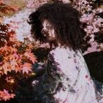 Dianna Jackson - @diannajackson55 - Instagram
