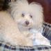 Diana Keith - Facebook