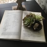 Diana Lancaster - @dianalancaster5372 - Instagram