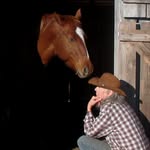 Diana Lancaster - @spirithorsepainter - Instagram