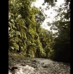 Diana Lee - Facebook