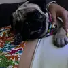 Dianna Martinez - @diannamartinez34 - TikTok