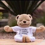 Diana Mccormick - @dianamccormick991 - Instagram