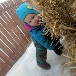 Dianna Morris - @diannas_early_learning - Instagram