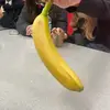 Diana Olson - @diana.olson8 - TikTok
