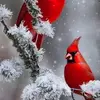 Dianna Walker - @dianna.walker26 - TikTok
