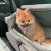 diannawebb88015 - @diannawebb88015 - TikTok