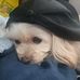 Diana J. Wilkinson - Facebook