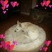 Dianne Avery - Facebook
