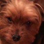 Diane Ayers - @diane2243haylee05 - Instagram