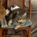 Dianne Barker - Facebook
