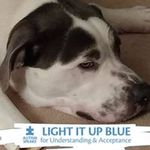 Dianne Barker - @merlin_smomma - Instagram