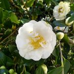 Dianne Bates - @diannebates48 - Instagram