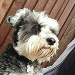 Dianne Bates - @diannebates578 - Instagram