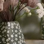 Dianne Bauer - Facebook