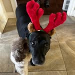 Dianne Bauer House - @amityhouse50 - Instagram