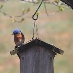 Dianne Benjamin - @dianne.benjamin.58 - Instagram