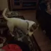 Dianne Black - @dianne.black - TikTok