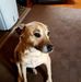 Dianne Blake - Facebook