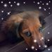 Diann Blue - Facebook