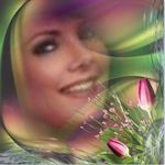 Dianne Boyd - @paridisenc - Instagram