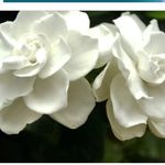 Dianne Boyd - @dianne.boyd.148 - Instagram