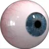 Diane Boykin - @dianeboykin_7006 - TikTok