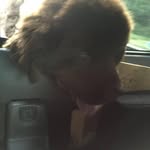 Diane Boykin - @diane.boykin.125 - Instagram