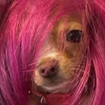 @dianne_butters_ - Instagram